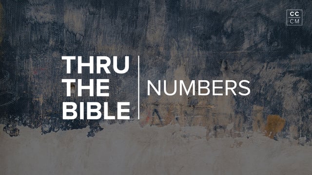 thru-the-bible-numbers-12-21.jpg